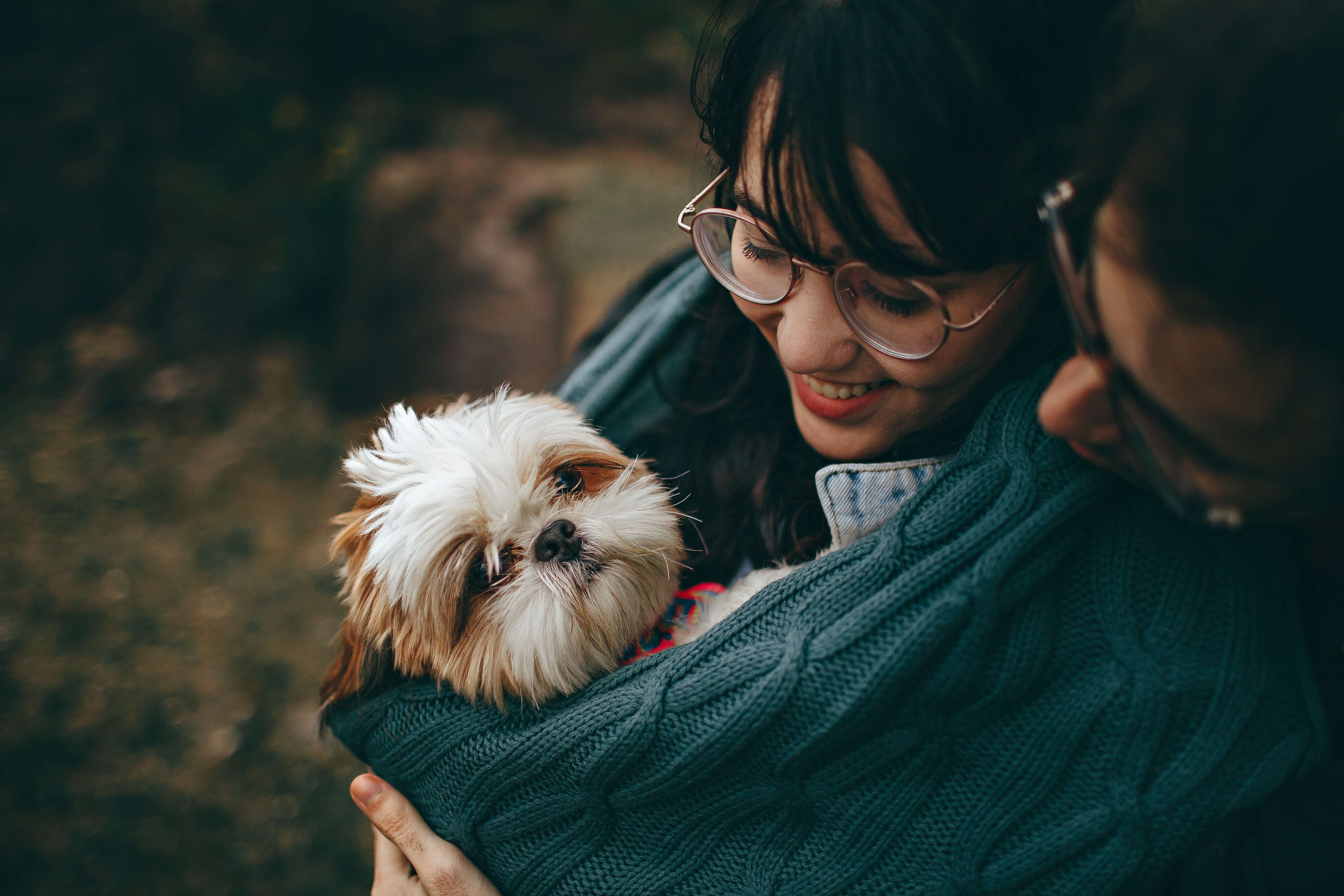 selective-focus-photography-of-white-and-tan-shih-tzu-puppy-1378849 (1)